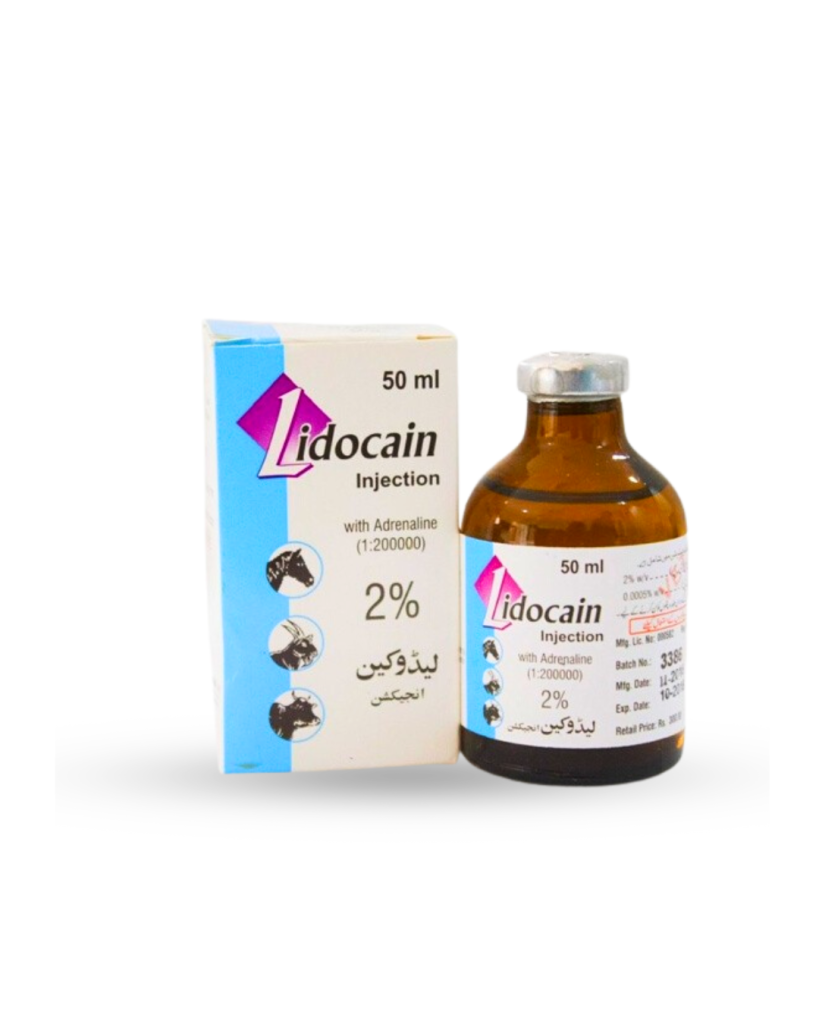LIDOCAIN PLAIN 2% with ADRENALINE INJECTION