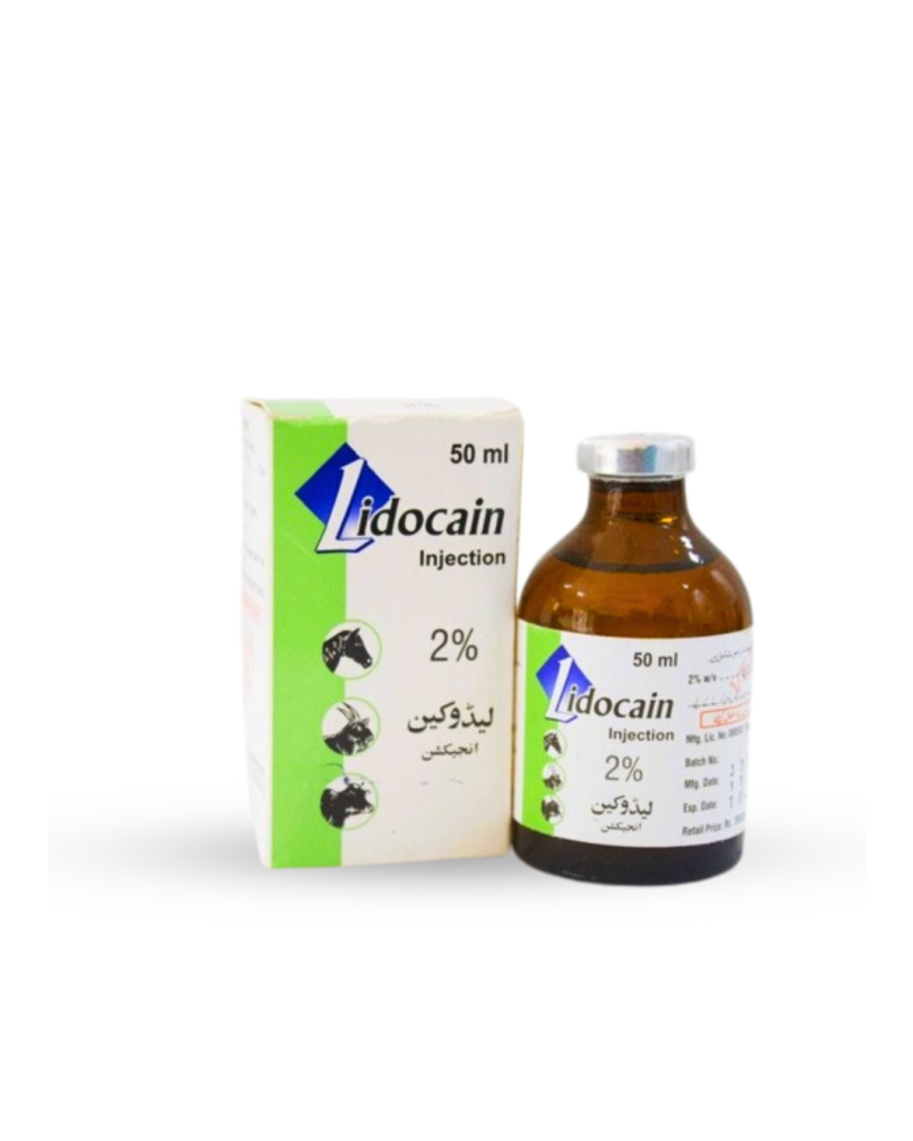 LIDOCAIN 2% INJECTION