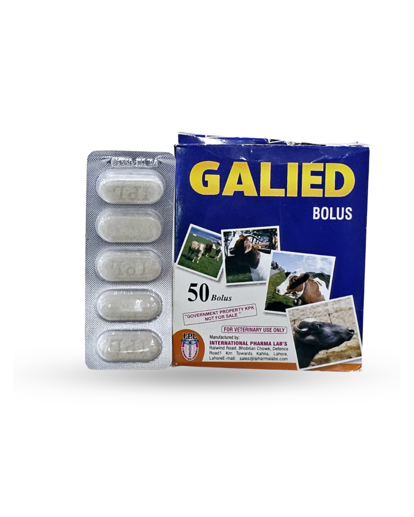 GALIED BOLUS