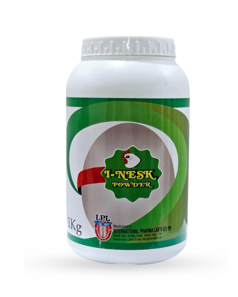 I-NESK POWDER