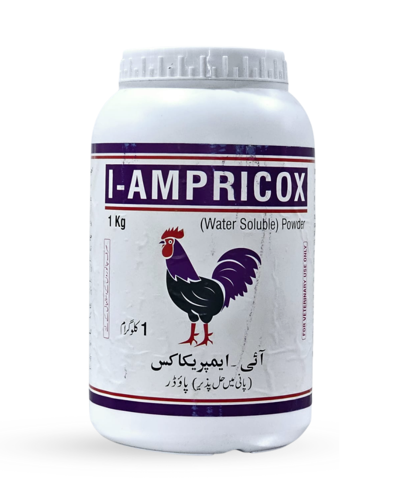 I-AMPRICOX POWDER