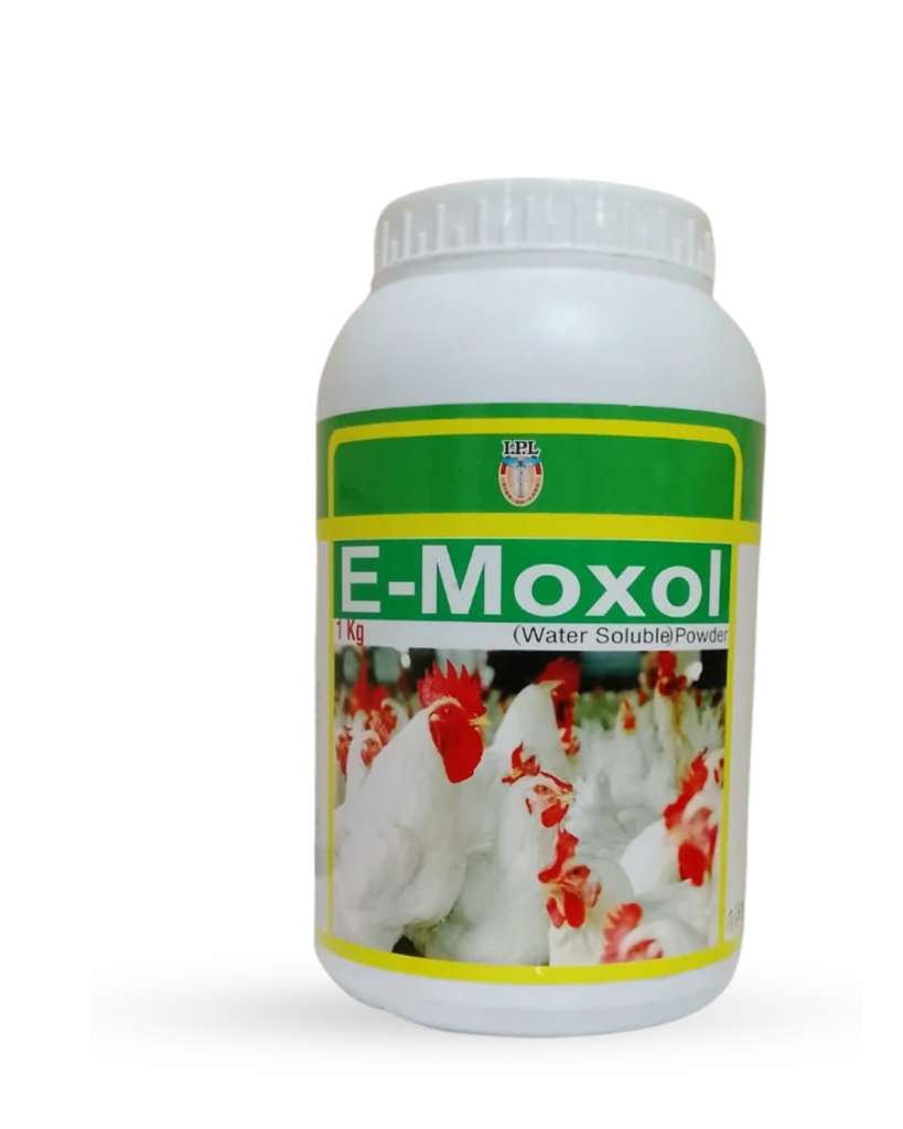E-MOXOL POWDER