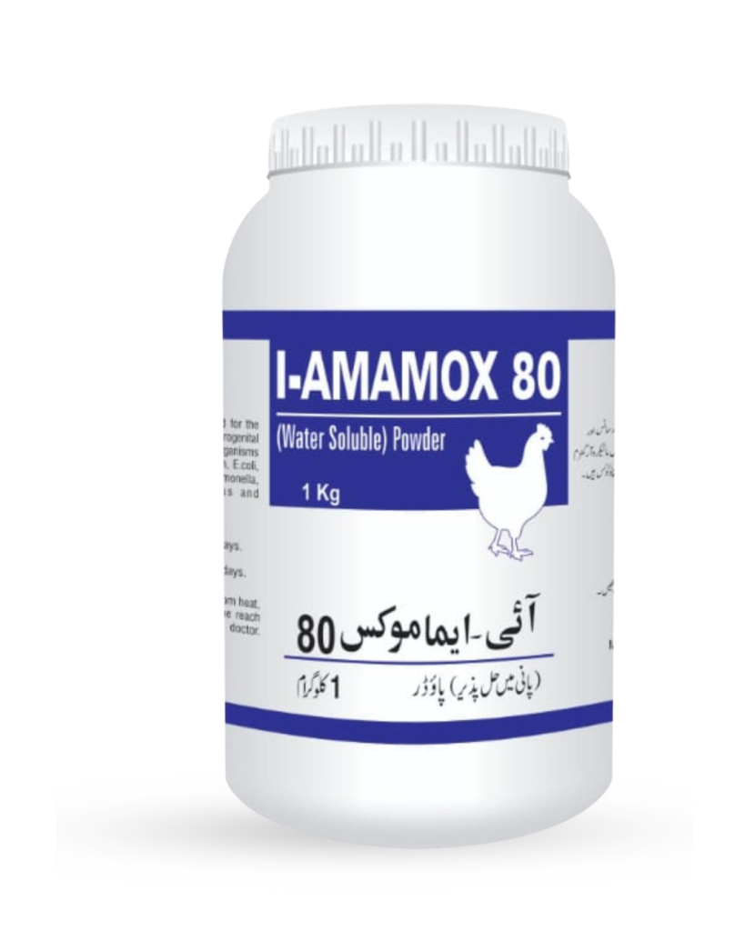 I-AMAMOX 80 GM POWDER