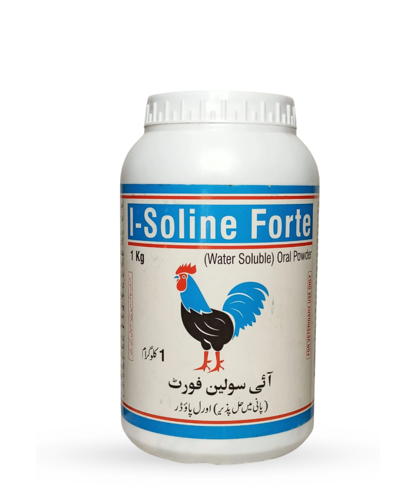 I-SOLINE FORTE POWDER