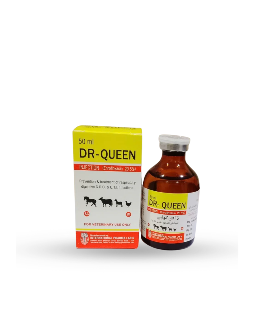 DR-QUEEN INJECTION