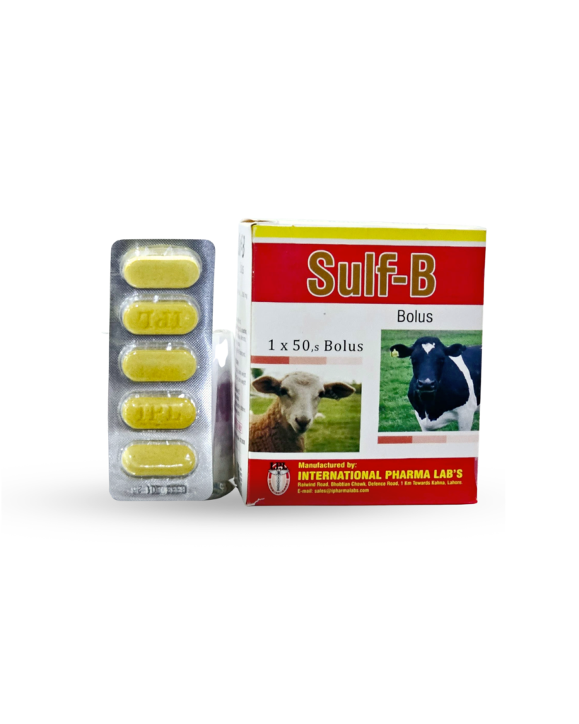 SULF-B BOLUS