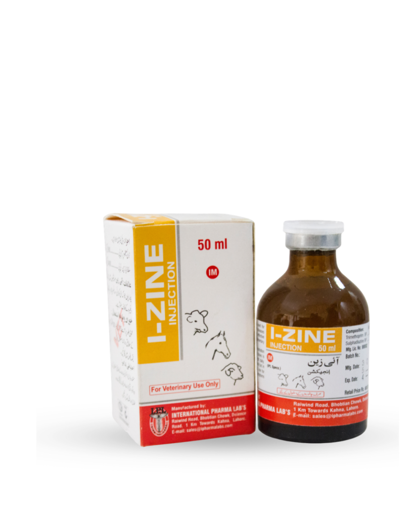 I-ZINE INJECTION